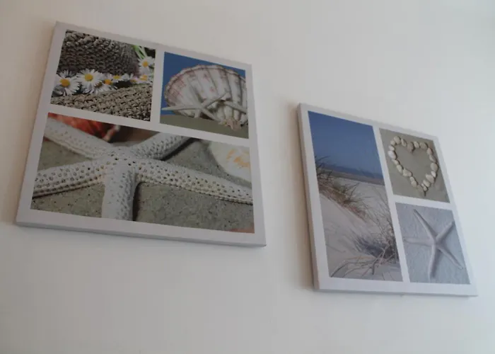 L'arca Di Noe La Spezia