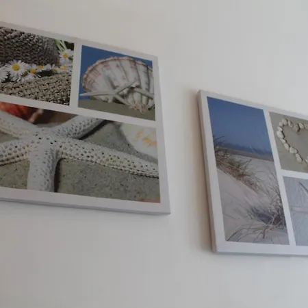 L'arca Di Noe La Spezia