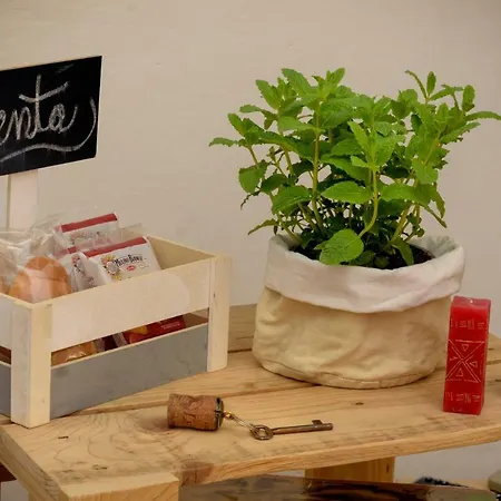 L'arca Di Noè La Spezia