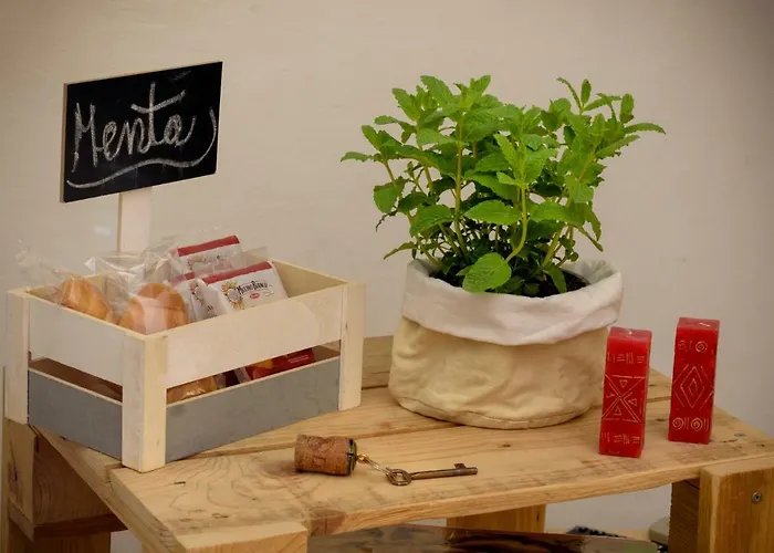 L'arca Di Noe La Spezia